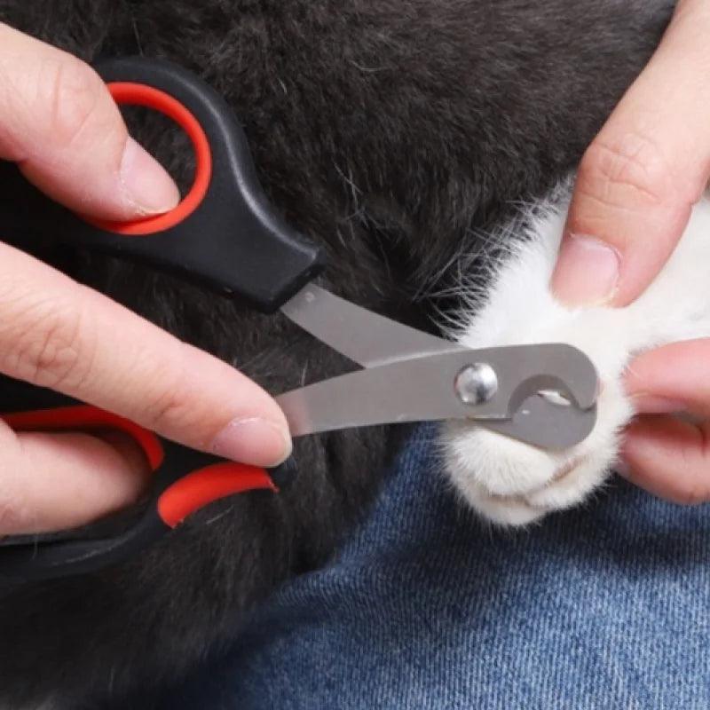 Tesoura para cortar unhas de cães e gatos / cortador de unha para pets - Dropfy Store