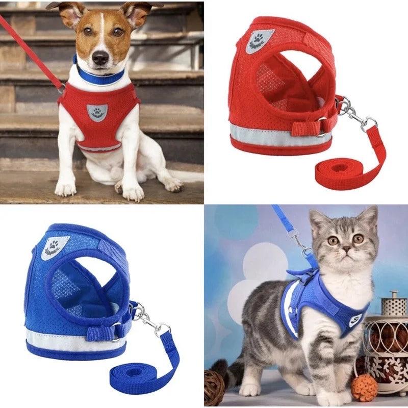 Guia para cães de pequeno e médio porte e gatos - Dropfy Store